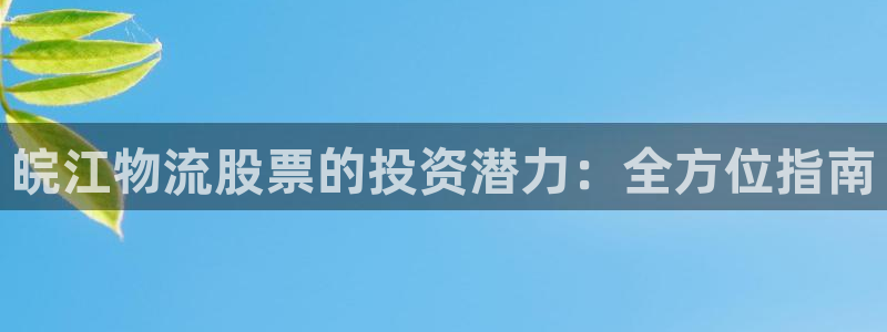 28圈.ccm2024：皖江物流股票