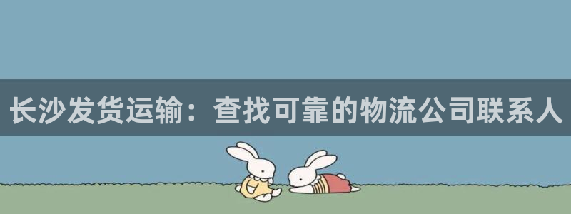 28圈官方官网